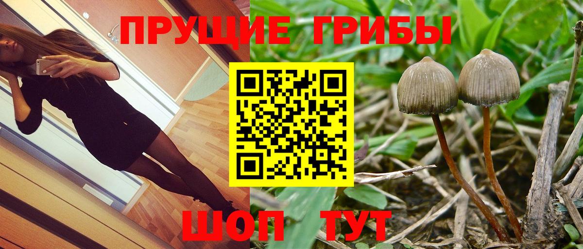 Новый Уренгой  Псилоцибиновые грибы Magic Shrooms  Вход с VPN  даркнет сайт  Галлюциногенные грибы ЛСД 